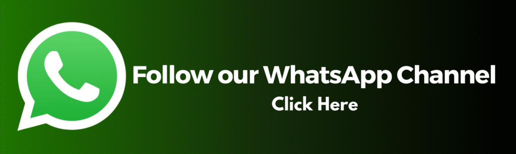 knlive 24 whatsapp channel